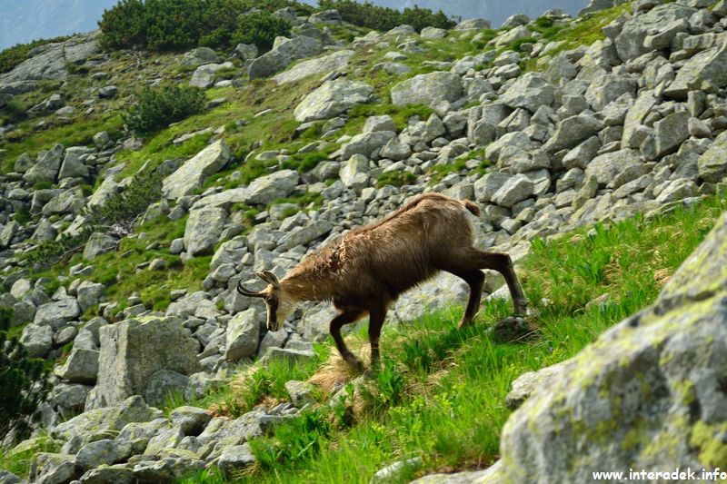 spgm/gal/2012_Tatry/DSC_2850.JPG