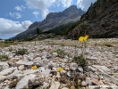 spgm/gal/2025_Dolomity_Wlochy/_thb_PXL_20250807_085958356.MP.jpg